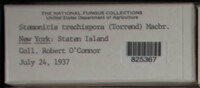 Image Associated With the Occurence